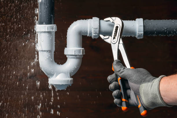 Professional Plumbing technician working in Alford, FL